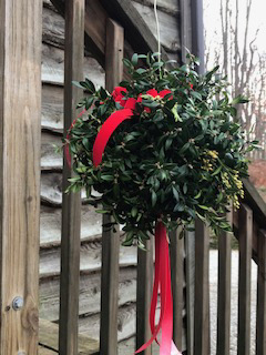 Living Wreath Class